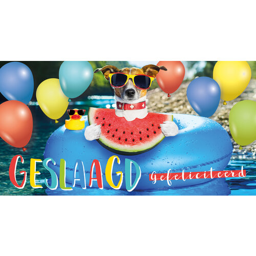 Geslaagd gefeliciteerd