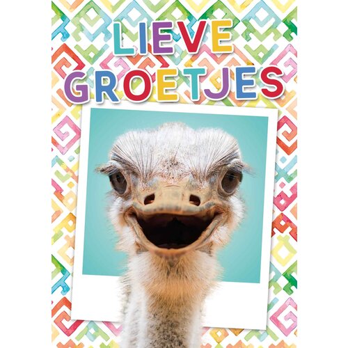 Lieve groetjes