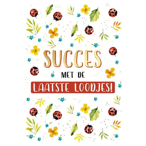 Succes met de laatste loodjes