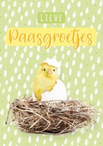 Lieve paasgroetjes