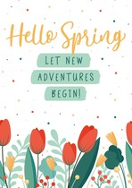 Hello Spring