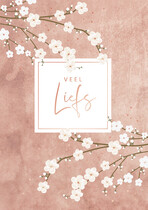 Veel liefs