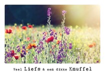 Veel liefs & een dikke knuffel