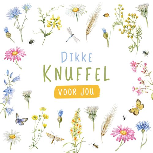 Dikke knuffel voor jou