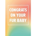 Congrats on your fur baby