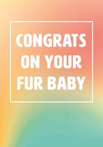 Congrats on your fur baby