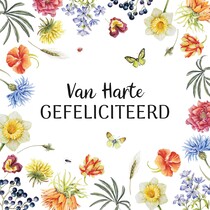 Vam harte gefeliciteerd