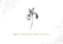 Met oprechte deelneming