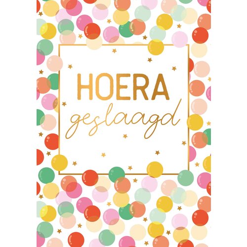 Hoera geslaagd