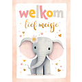 Welkom lief meisje Geboortekaartje