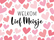 Welkom lief meisje Geboortekaartje