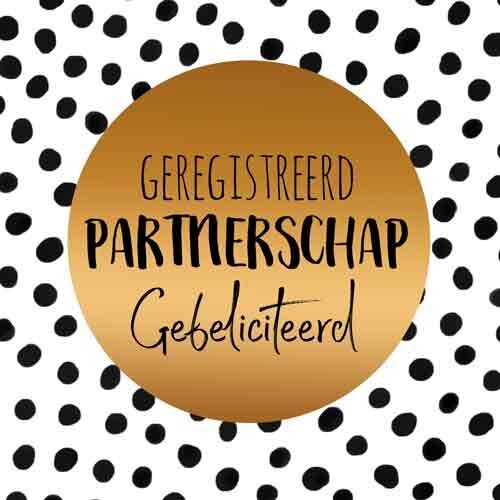 Geregistreerd partnerschap