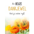 Een reuze dankjewel voor je enorme inzet