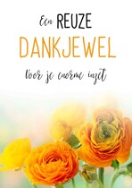 Een reuze dankjewel voor je enorme inzet