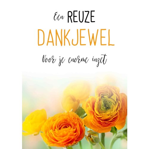 Een reuze dankjewel voor je enorme inzet