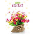 Lieve groetjes