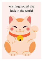 Wishing you all the luck in the world afscheidskaart