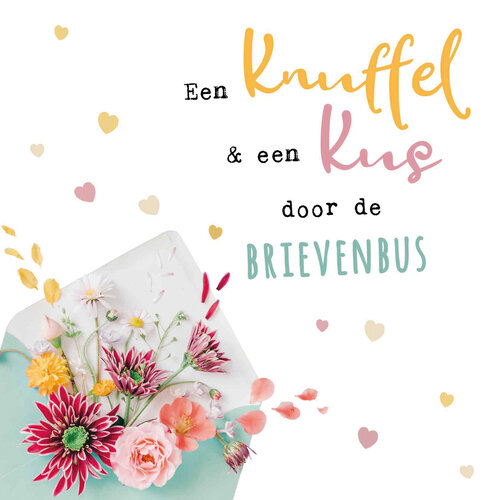 Een knuffel