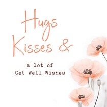 Hugs Kisses