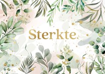 Sterkte