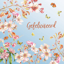 Gefeliciteerd