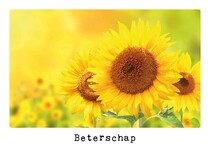 Beterschap