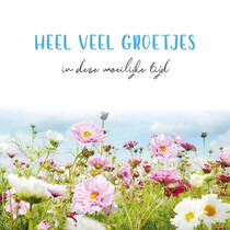 Heel veel groetjes