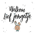 Welkom lief jongetje Geboortekaart