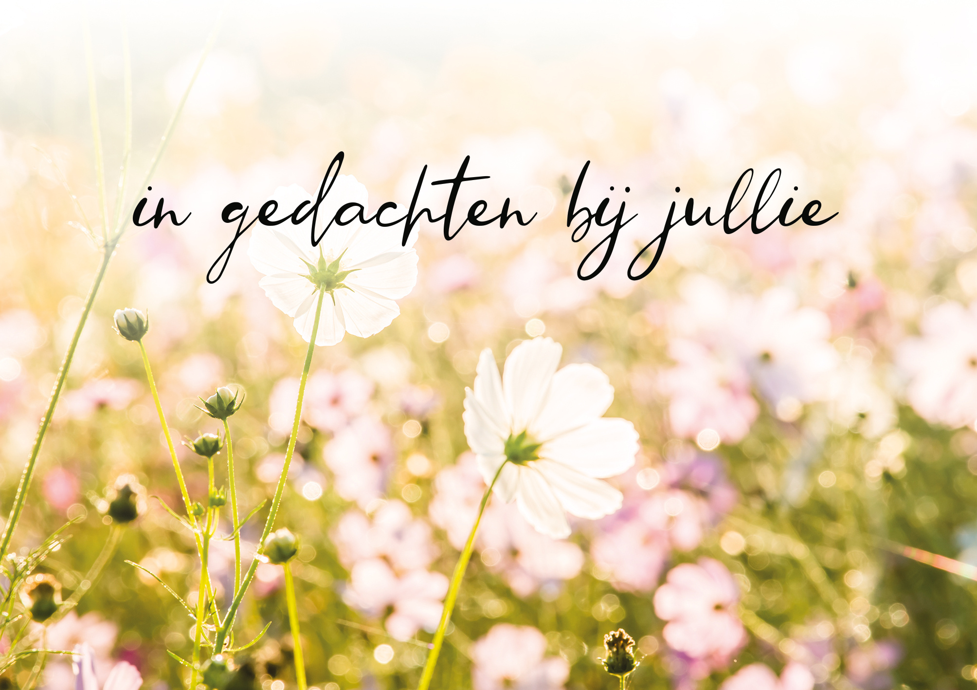 In Gedachten Bij Jullie Vandaag