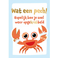 Wat een pech! Opgekrabbeld Opkikkertjeskaart