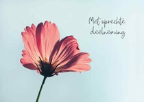 Met oprechte deelneming Condoleance kaart