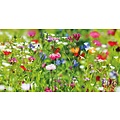 Blanco wilde bloemen Bloemenkaart