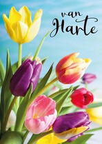 Van harte Felicitatiekaart