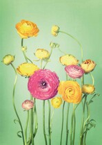 Blanco bloemen Condoleancekaart