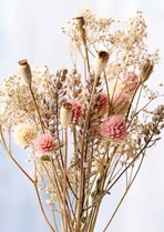Blanco droog bloemen Condoleancekaart