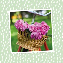 Bloemen