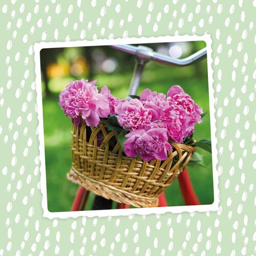 Bloemen