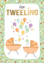 Een tweeling