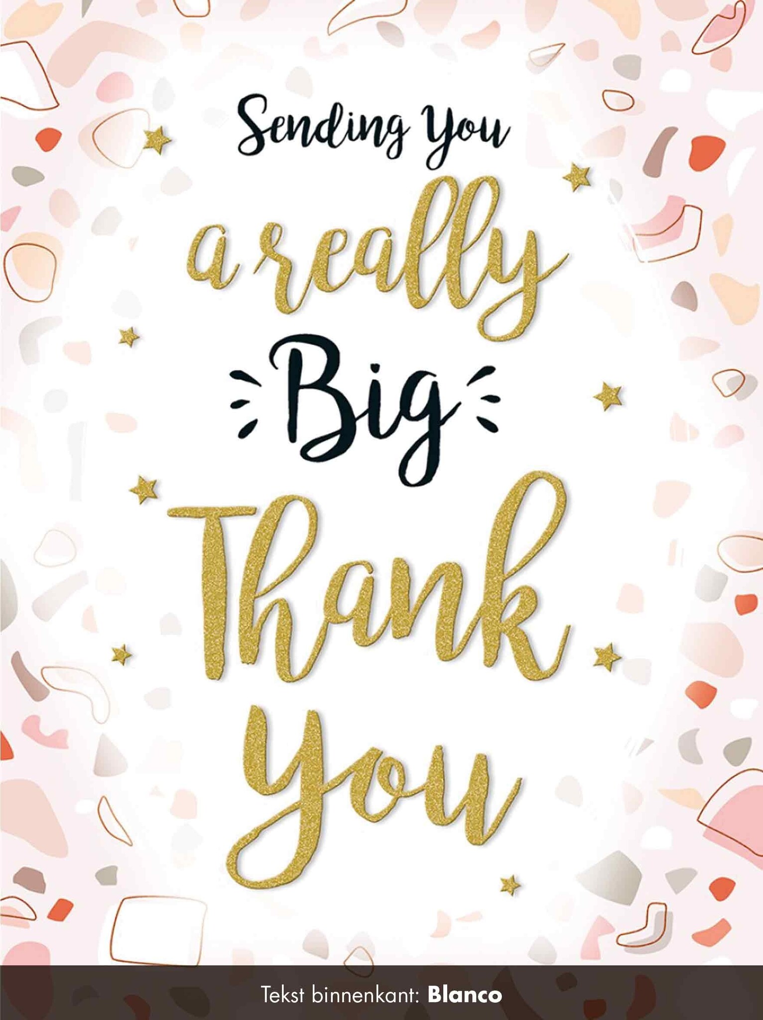 XL kaart - Sending you a really big thank you Bedankkaart