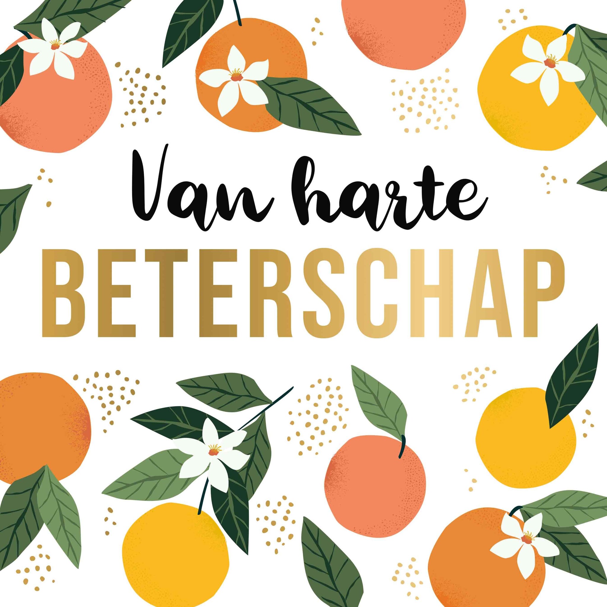 XL kaart - Van harte beterschap