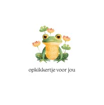 Opkikkertje voor jou Beterschapskaart