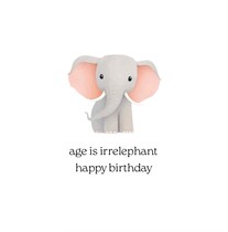 Age is irrelephant happy birthday Verjaardagskaart