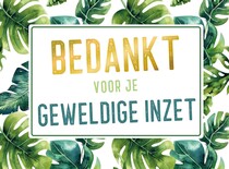 Bedankt voor je geweldige inzet