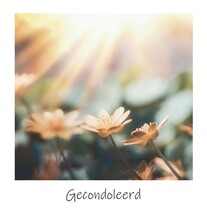 Gecondoleerd