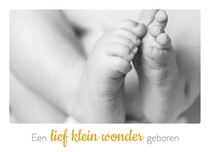 Een lief klein wonder geboren Geboortekaart