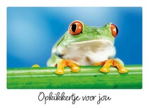 Opkikkertje voor jou Opkikkertje kaart