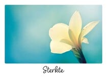 Sterkte Sterktekaart