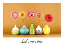Liefs van ons Beterschapskaart