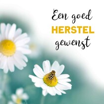 Een goed herstel gewenst