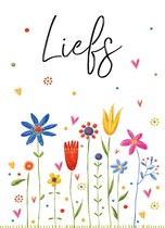 Liefs